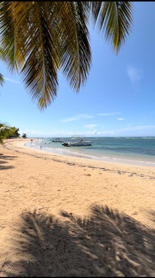 Lovely Beachfront 2 Bedrooms Condo With 2 Pools Las Terrenas Buitenkant foto